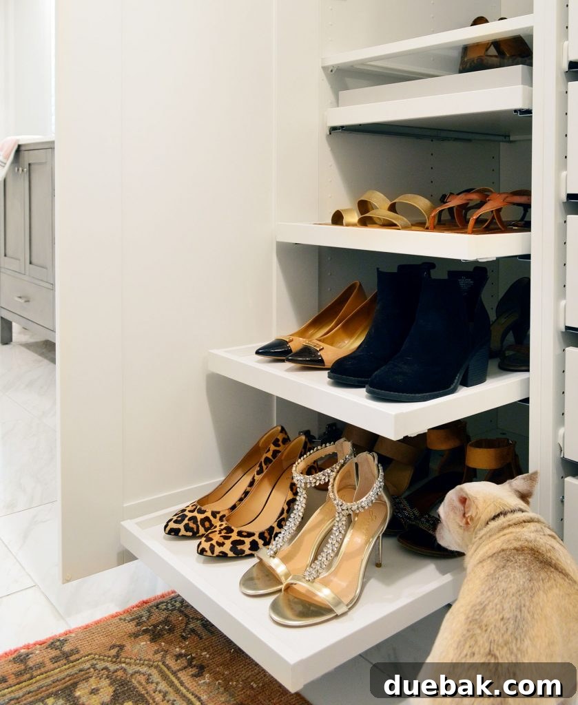 Pull-out shoe trays in an IKEA Pax wardrobe, with Burger the dog curiously observing.