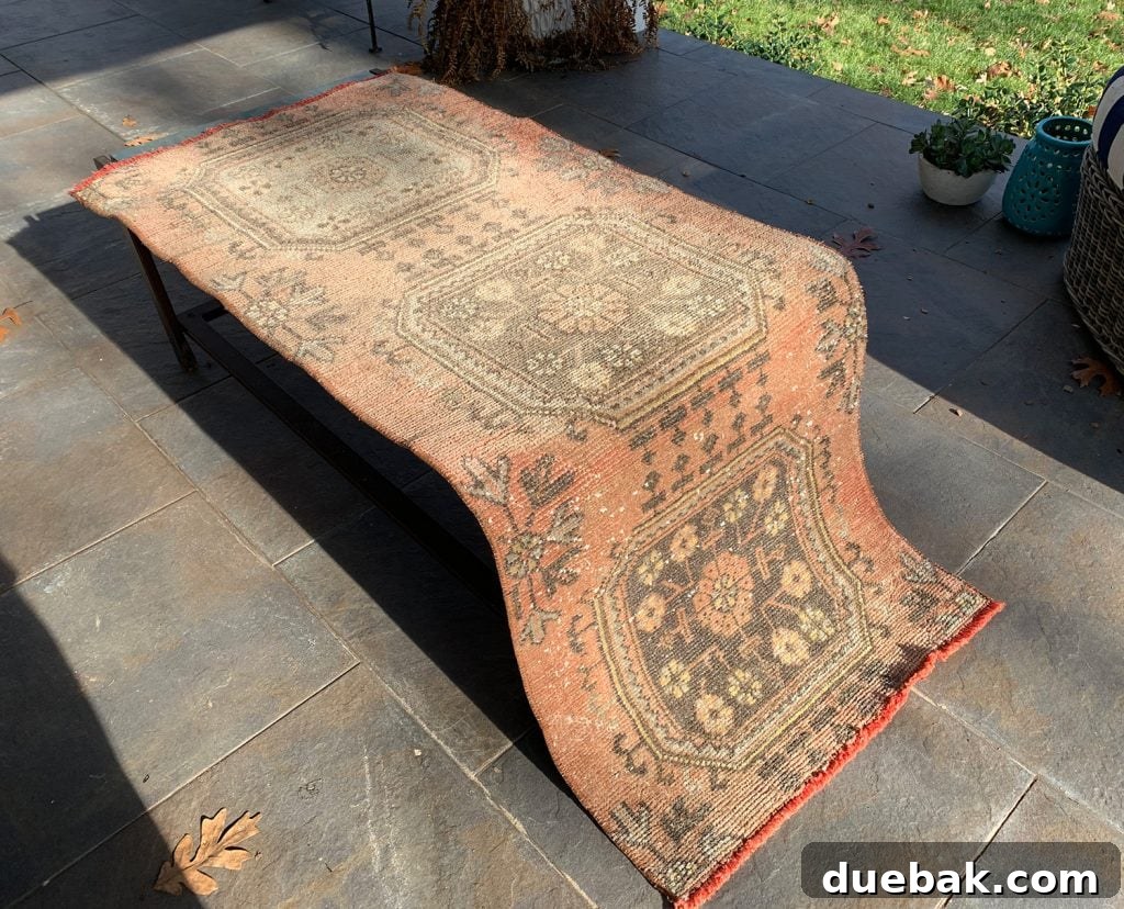 Revitalize Your Rug with a Pressure Washer 4 Vintage rug drying outdoors after power washing, showing vibrant pink color