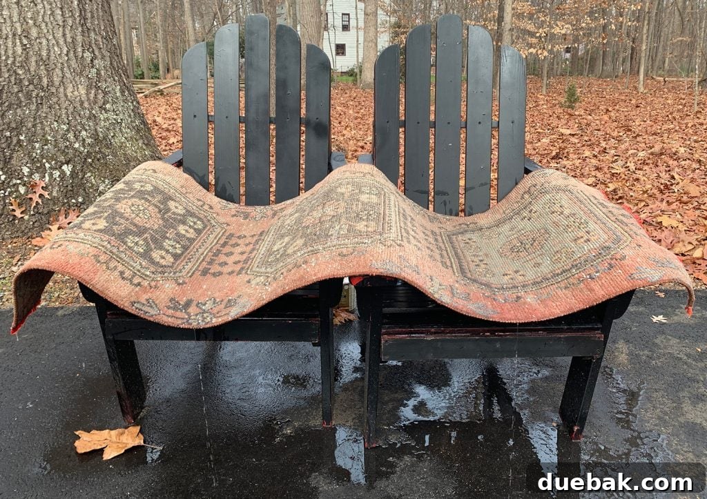 Revitalize Your Rug with a Pressure Washer 8 Vintage rug drying on chairs, elevated for drainage