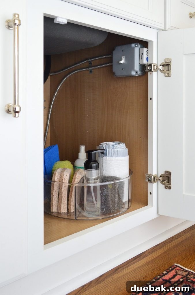 Organized kitchen drawer with a divided turntable organizer showing various spices and small items.