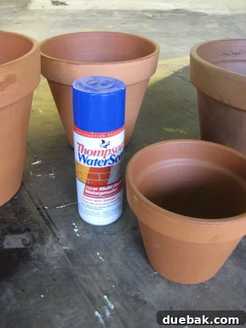 img_2812 painting terra cotta pots supplies
