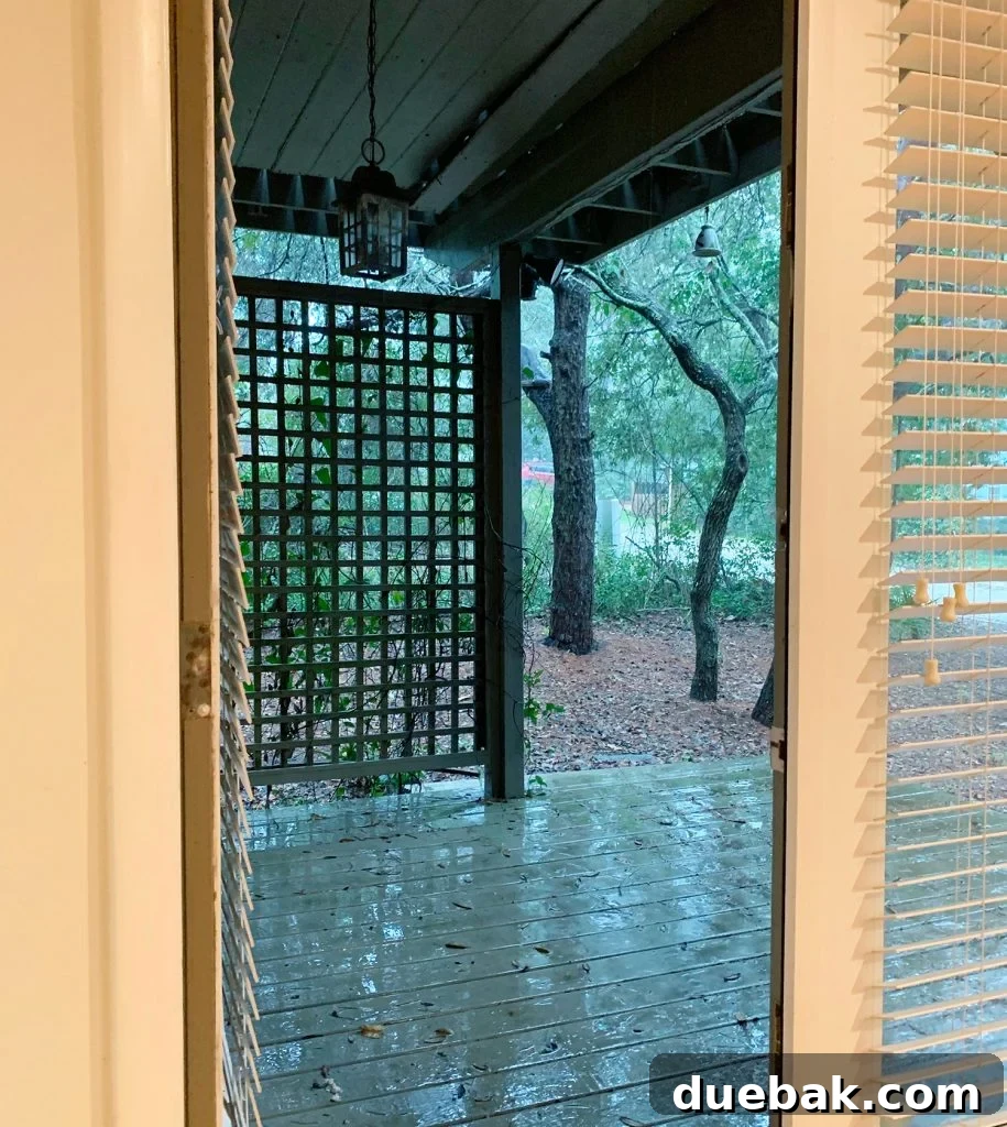 Side deck area outside the master bedroom, surrounded by trees.