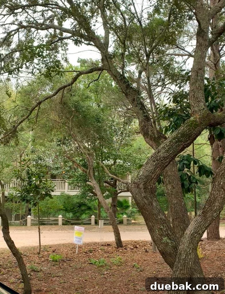 A large, majestic tree outside the house, contributing to its natural charm.