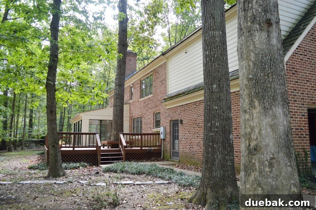 Richmond house backyard before renovation with overgrown trees and dated sunroom