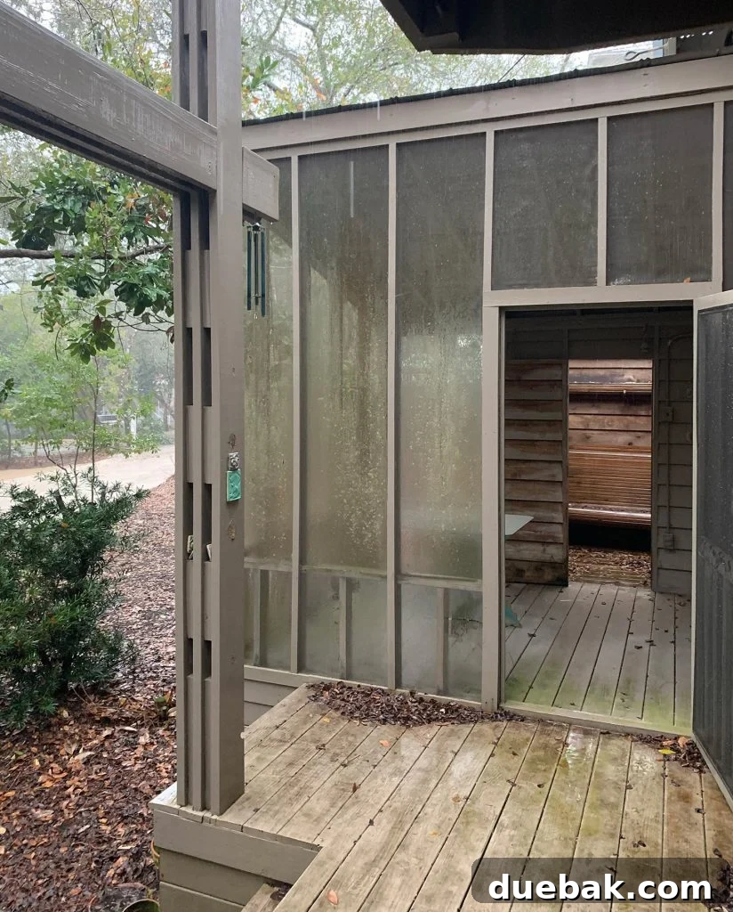 Before: Side View of Florida House in February