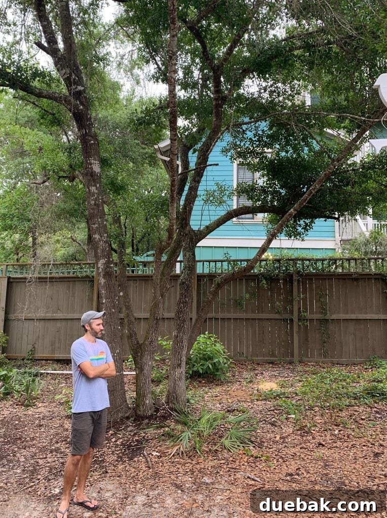 John Visualizing Pool and Guest House in Florida Backyard