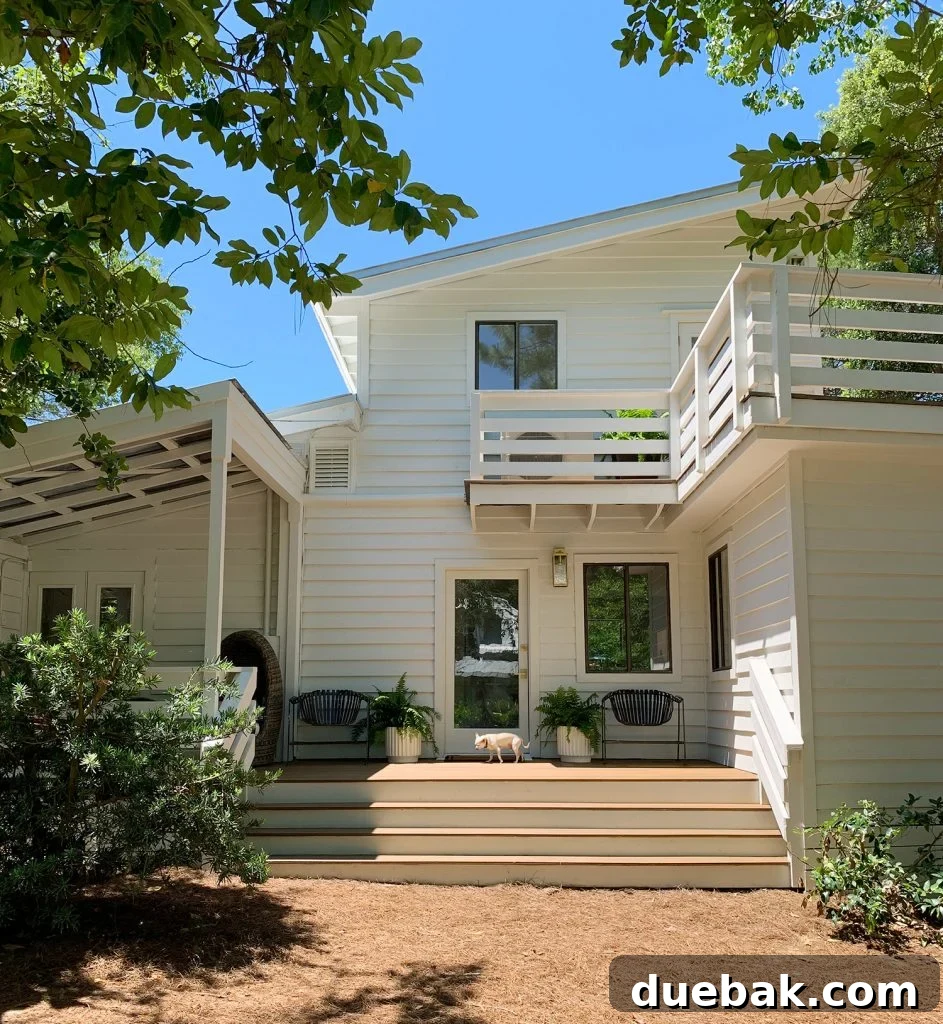 Dog Relaxing on Renovated Florida Porch
