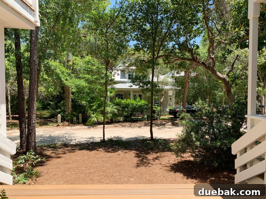 View from Florida Home Front Porch with Pine Trees