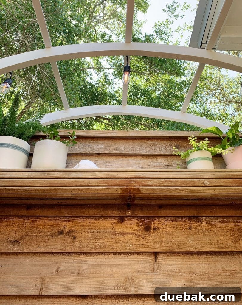 View from inside the outdoor shower at head level, showing complete privacy with wooden walls and trees.