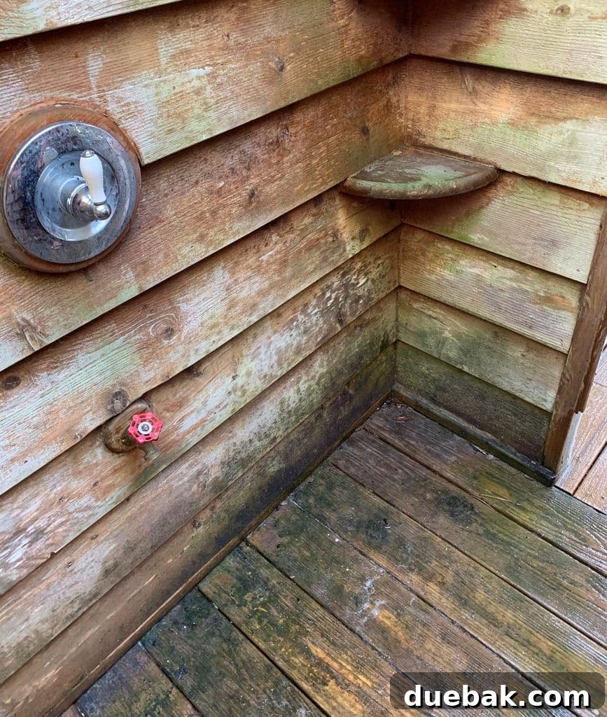 Close-up of the outdoor shower's clogged and rusted showerhead before renovation.