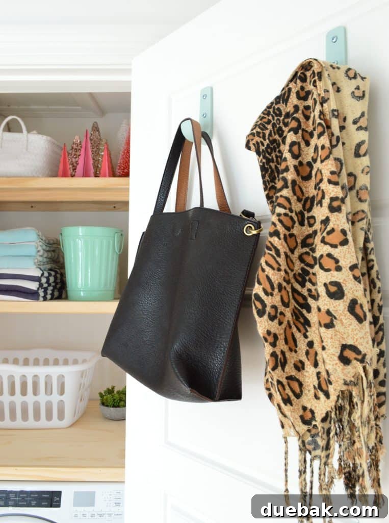 Laundry closet door with large colorful hooks with DIY laundry shelves in background