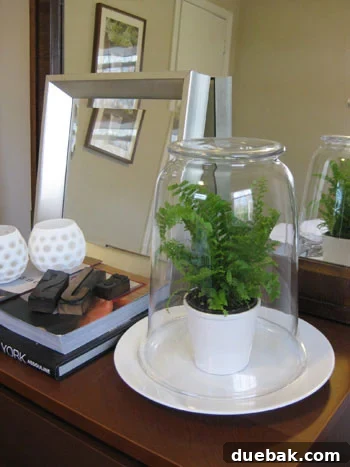 simple-terrarioum-tutorial-how-to-diy-project simple-terrarioum-tutorial-how-to-diy-project