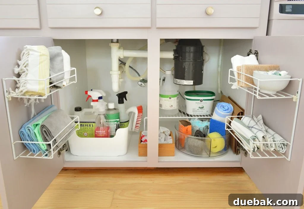 Under-sink cabinet with cleaning supplies organized in various bins and shelves