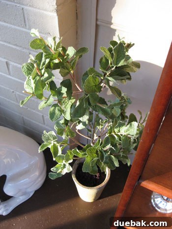 Close-up of a realistic faux mint topiary in a decorative pot