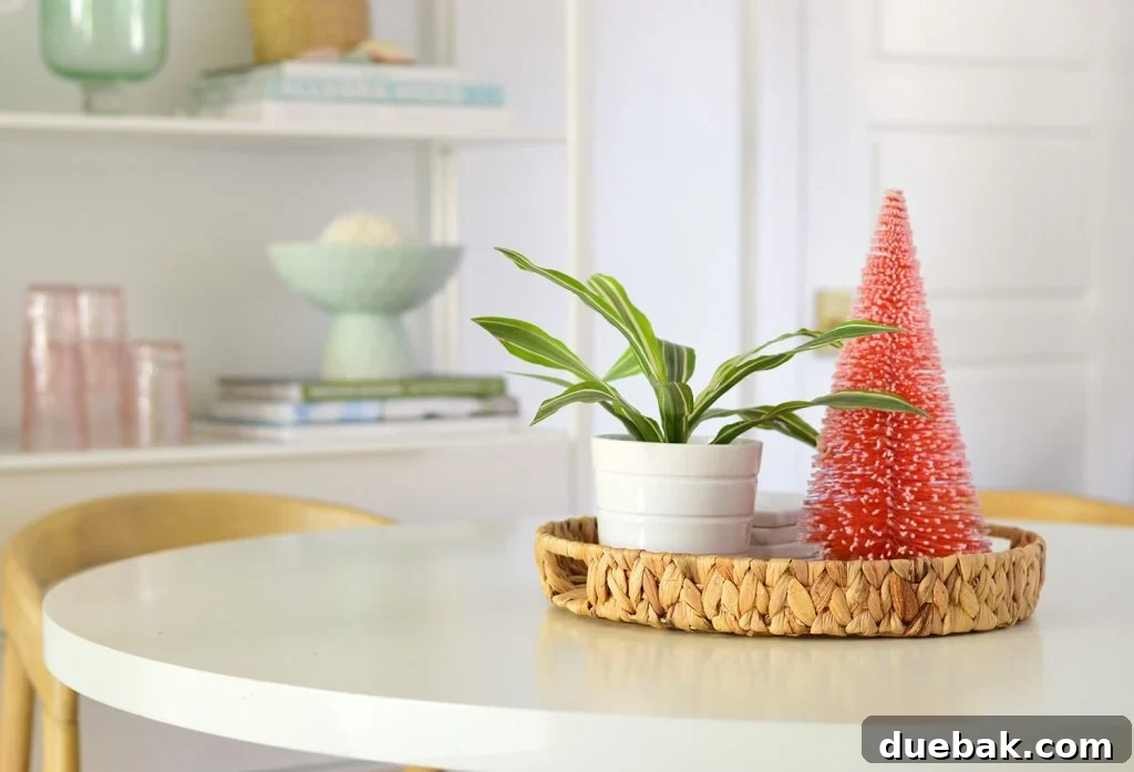 Breakfast Tabletop With Red Bottlebrush Christmas Tree