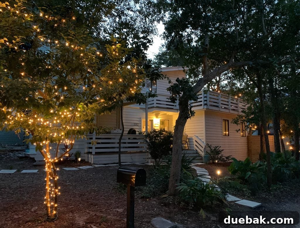Exterior Tree With Christmas Lights In Front Of White House