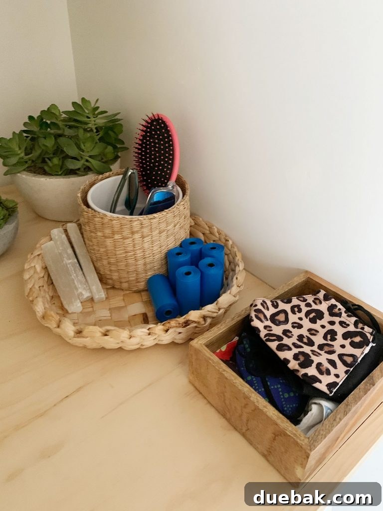 Intimate Comfort: Your Sitting Room Loveseat 14 Baskets and bins on laundry shelf holding entryway accessories like masks dog bags and sunglasses