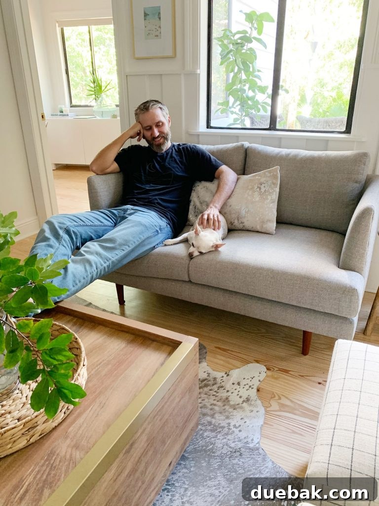 Intimate Comfort: Your Sitting Room Loveseat 18 John sitting on gray loveseat with chihuahua next to him