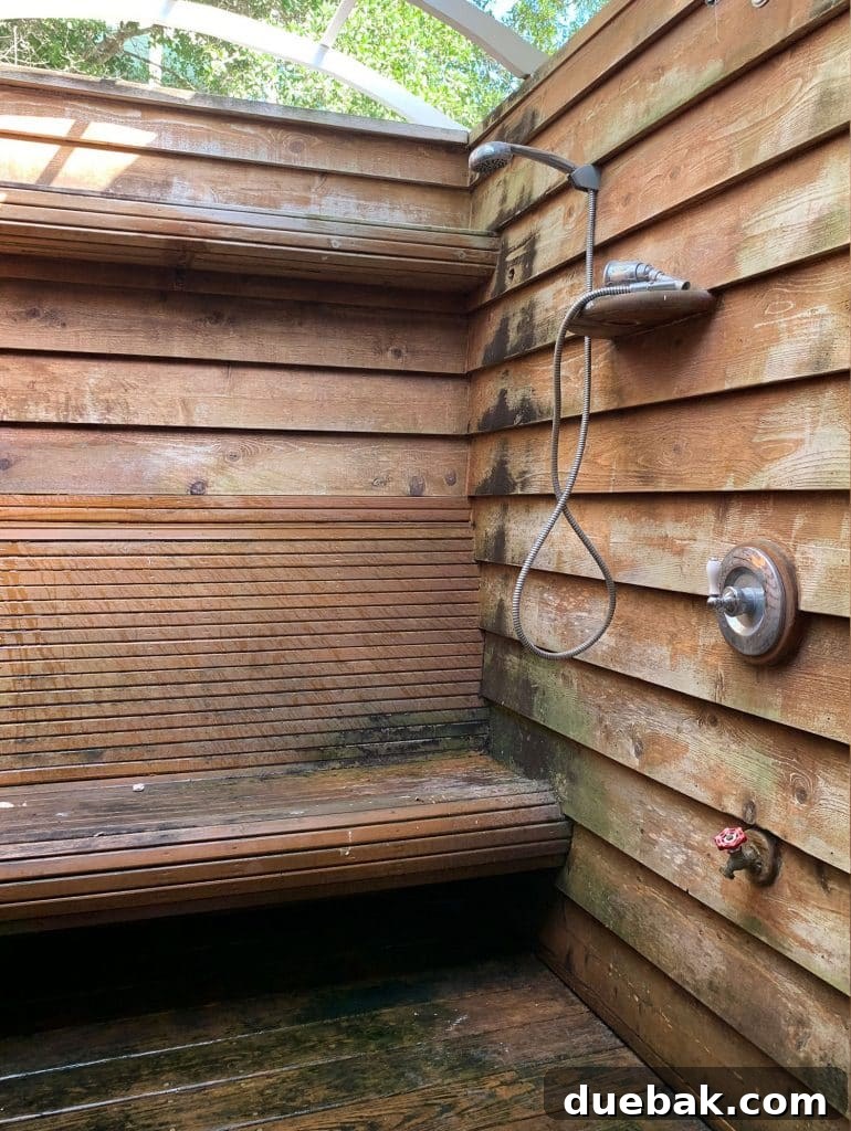 Before View of Grimy Outdoor Shower Area