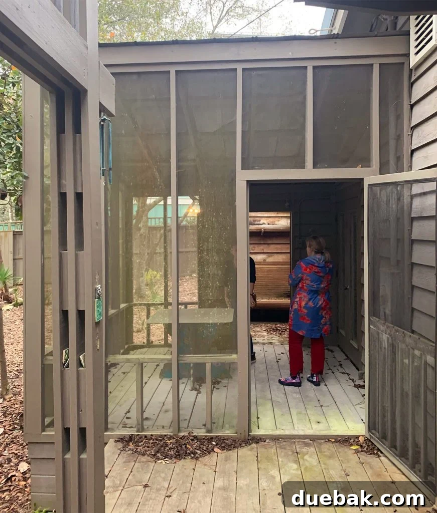 Before View of Covered Side Porch with Mildewed Screening