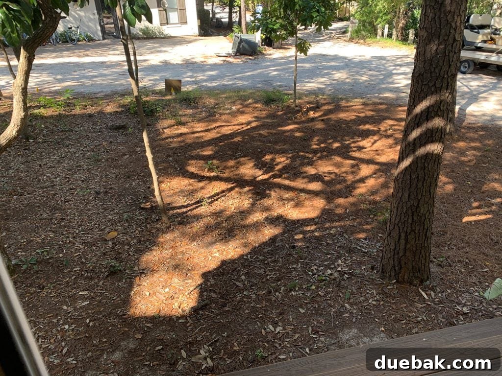 Before View of Unused Outdoor Area Exposed to Street