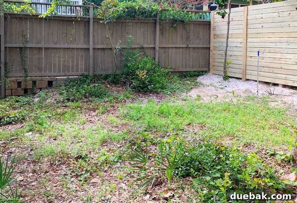 Before View of Backyard Area with Weeds Before Pool Installation