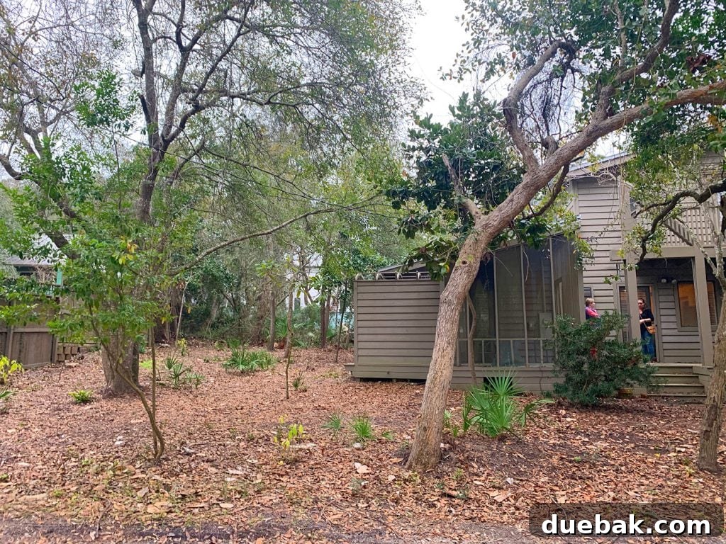 Before photo of house with empty backyard covered in dead leaves, showing the seasonal contrasts.