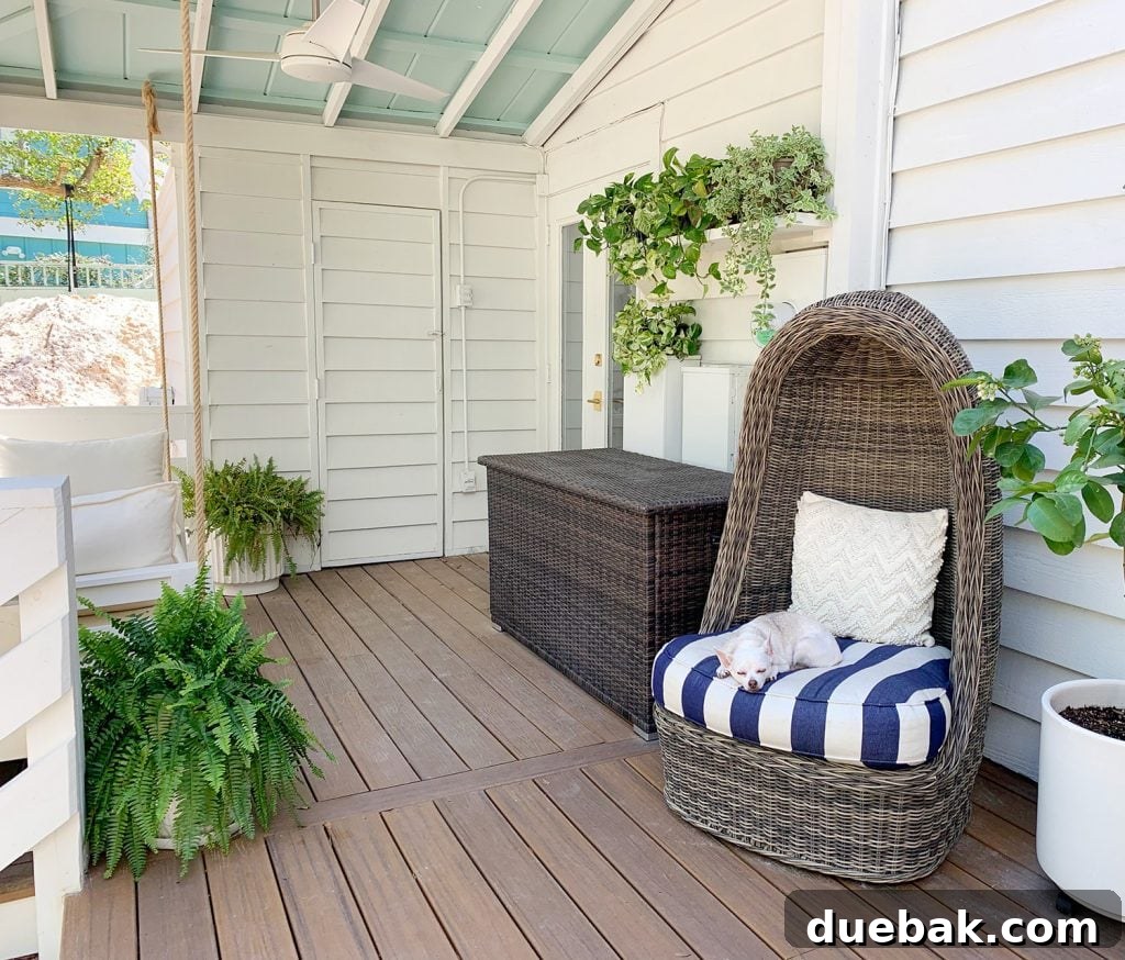 Full View Of Covered Porch With Plants Everywhere And Dog Sleeping In Egg Chair