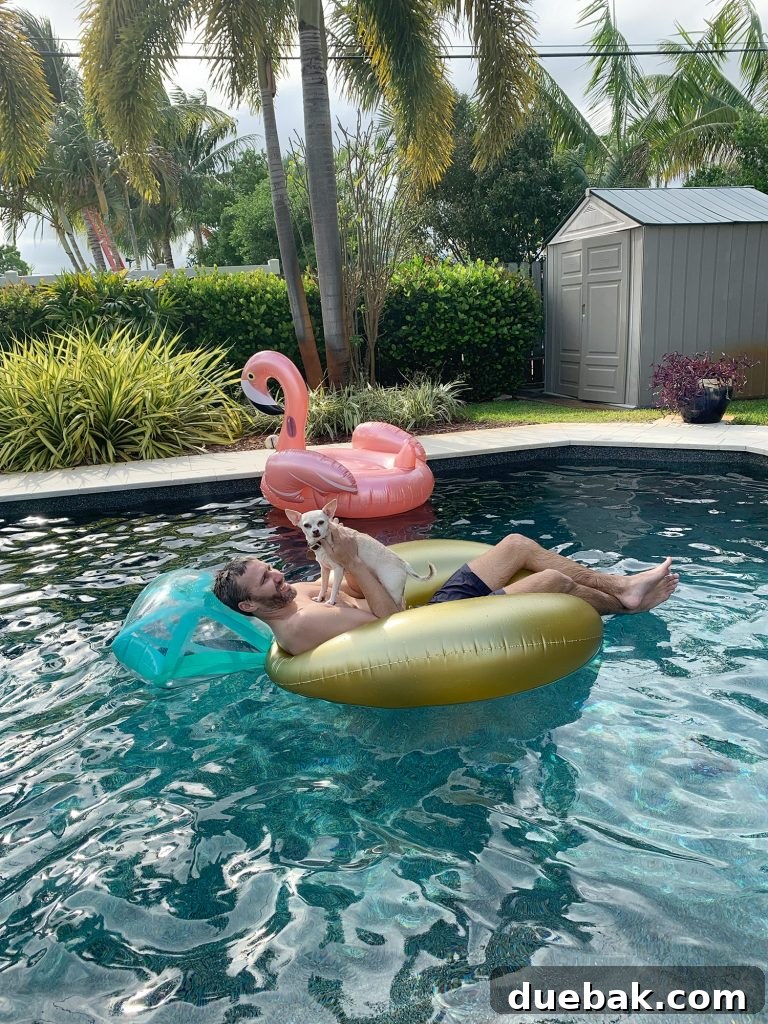 John in pool float with Burger on chest with flamingo float in background