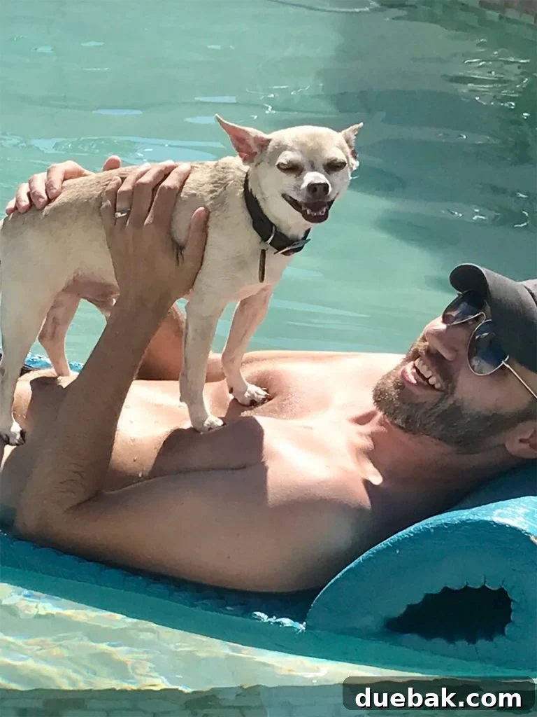 Zoom in on Burger's smiley face in pool float