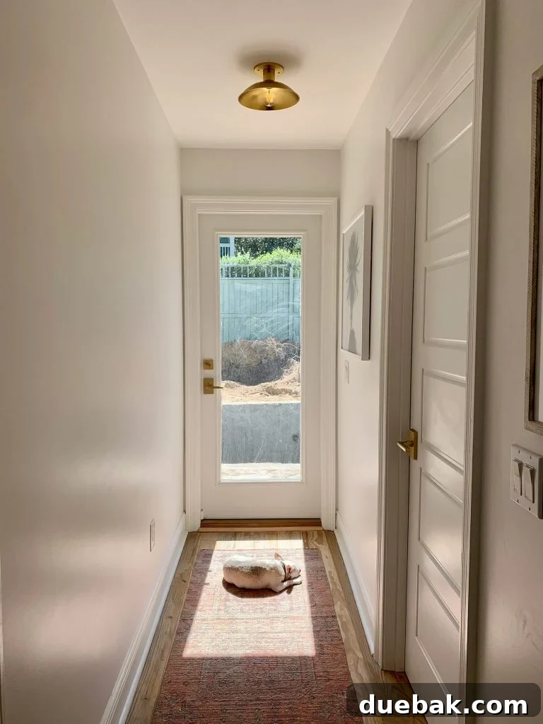 Burger sitting in sun spot near glass door