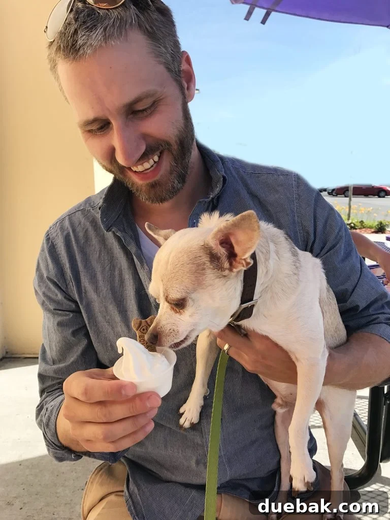 Burger licking ice cream pup cup in John's arms