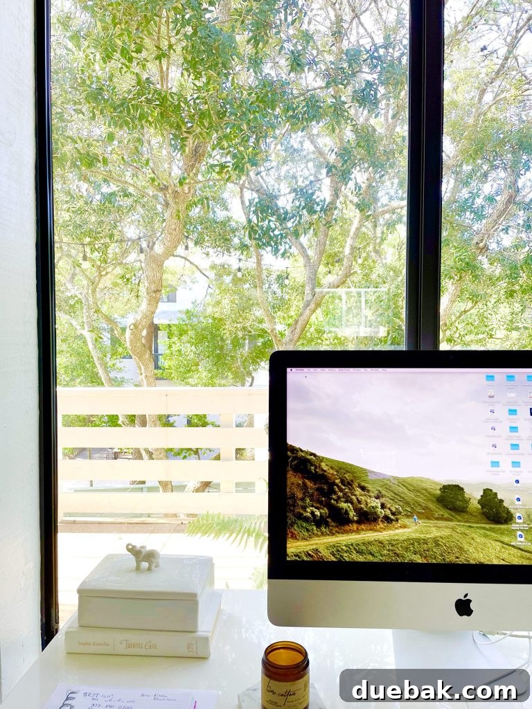 iMac Computer In Front Of Large Picture Window In Upstairs Modern Family Room
