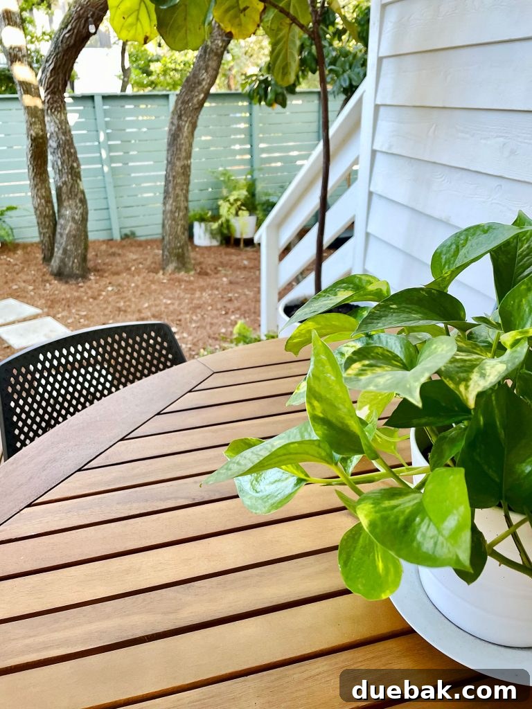 Detailed view of the rustic wood table adorned with a potted pothos plant, showcasing its natural beauty