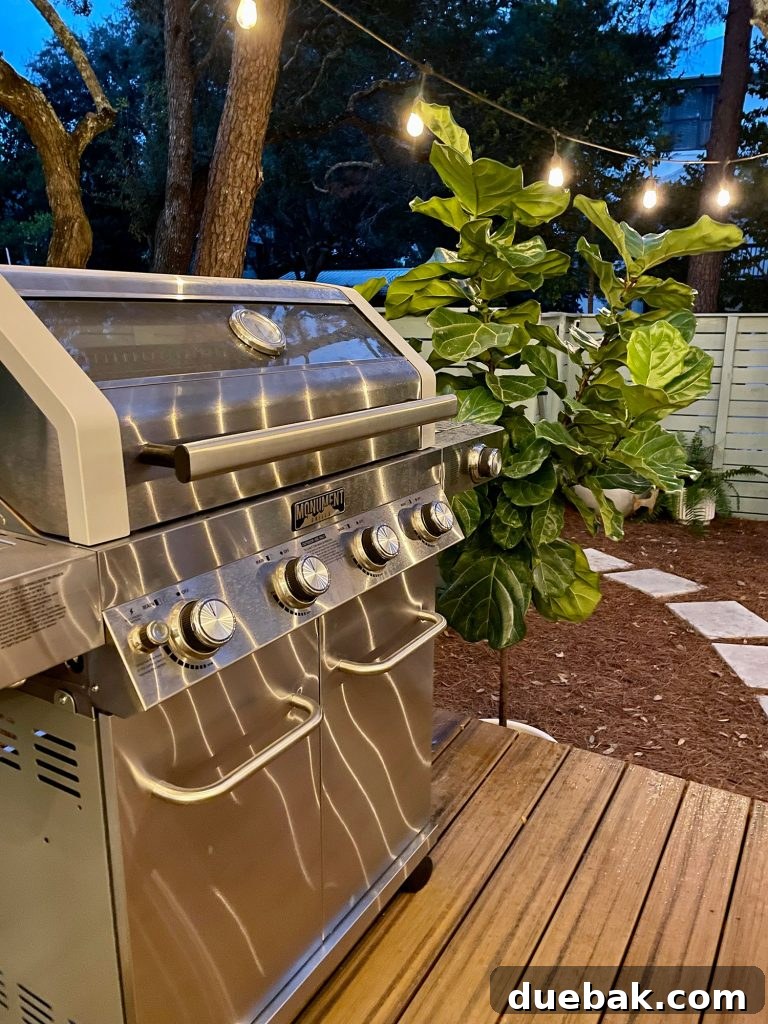 A detailed night photo showcasing the gleaming stainless steel grill, beautifully illuminated by ambient lights
