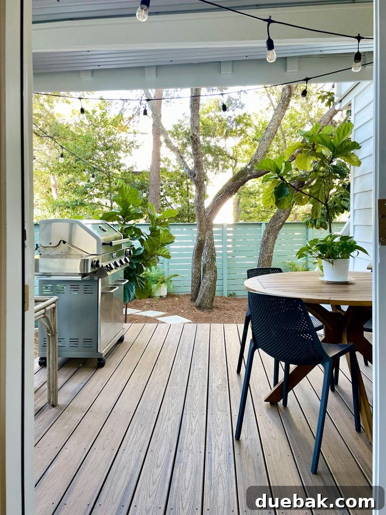 View looking through the new kitchen door, revealing the inviting covered kitchen porch with its dining table and modern grill
