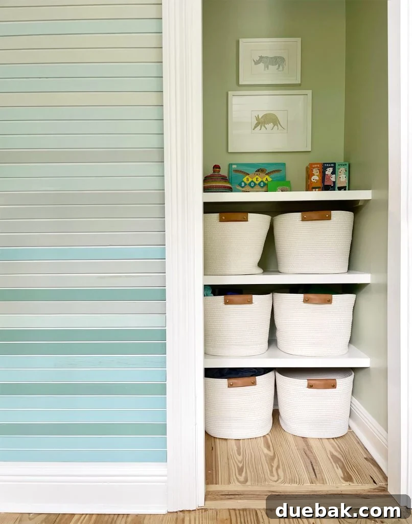 Painted Closet With Custom DIY Shelves And Art Hanging Above Them