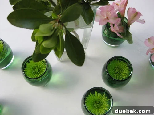 Three assorted glass vases, two displaying vibrant pink and purple floating flowers, and one with a single delicate floating bloom, arranged on an outdoor table for fresh and simple spring decor.