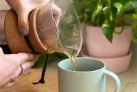 How to Brew Pour-Over Coffee at Home for Rich Flavor
