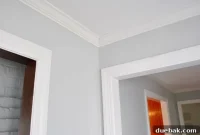 Moonshine Gray for Living Rooms: Benjamin Moore Paint Color Guide