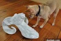 How to Choose a Ceramic Ram Wall Sculpture for Your Home