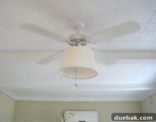 featured 369