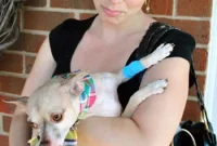 Puppy’s First Teeth Cleaning: Tips for a Stress-Free Chihuahua Visit