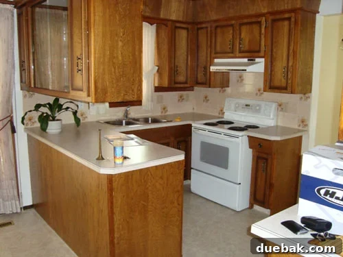 scary-bad-ugly-kitchen-before-picture