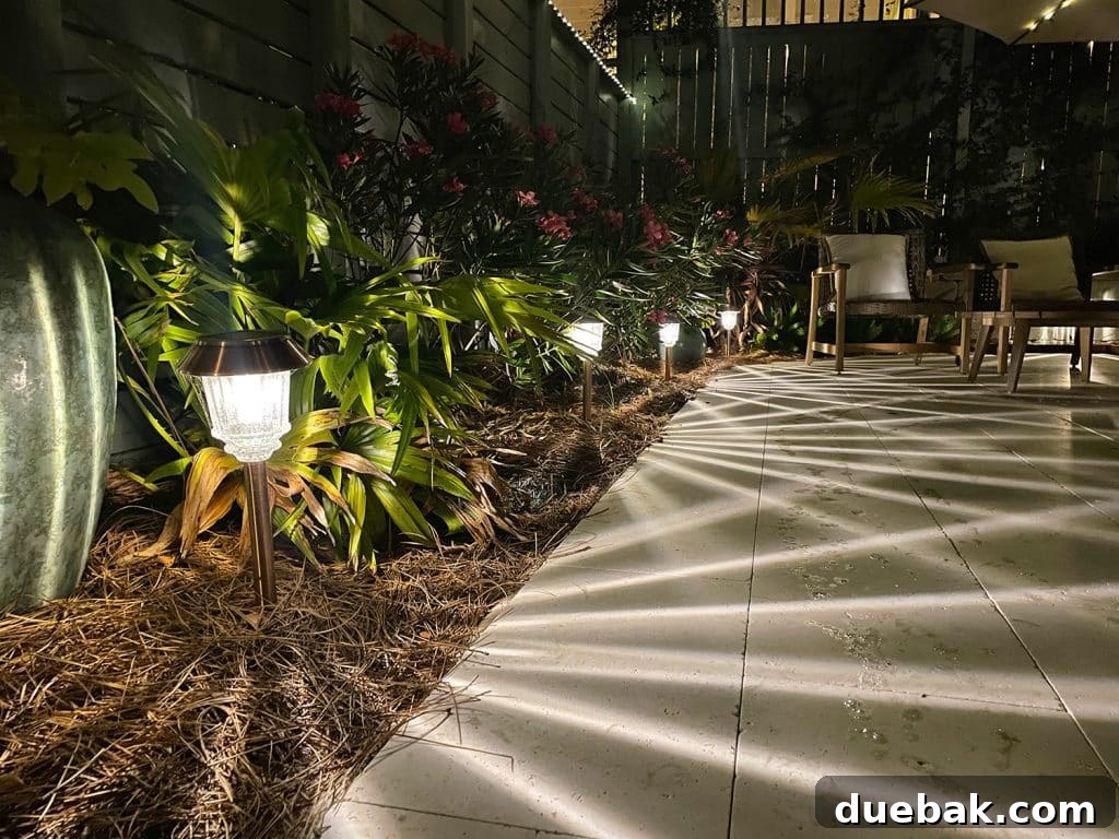 Outdoor Solar Lights: Top Picks for Bright, Long-Lasting Illumination 8 Solar Pathway Lights At Night Casting Cool Light Pattern