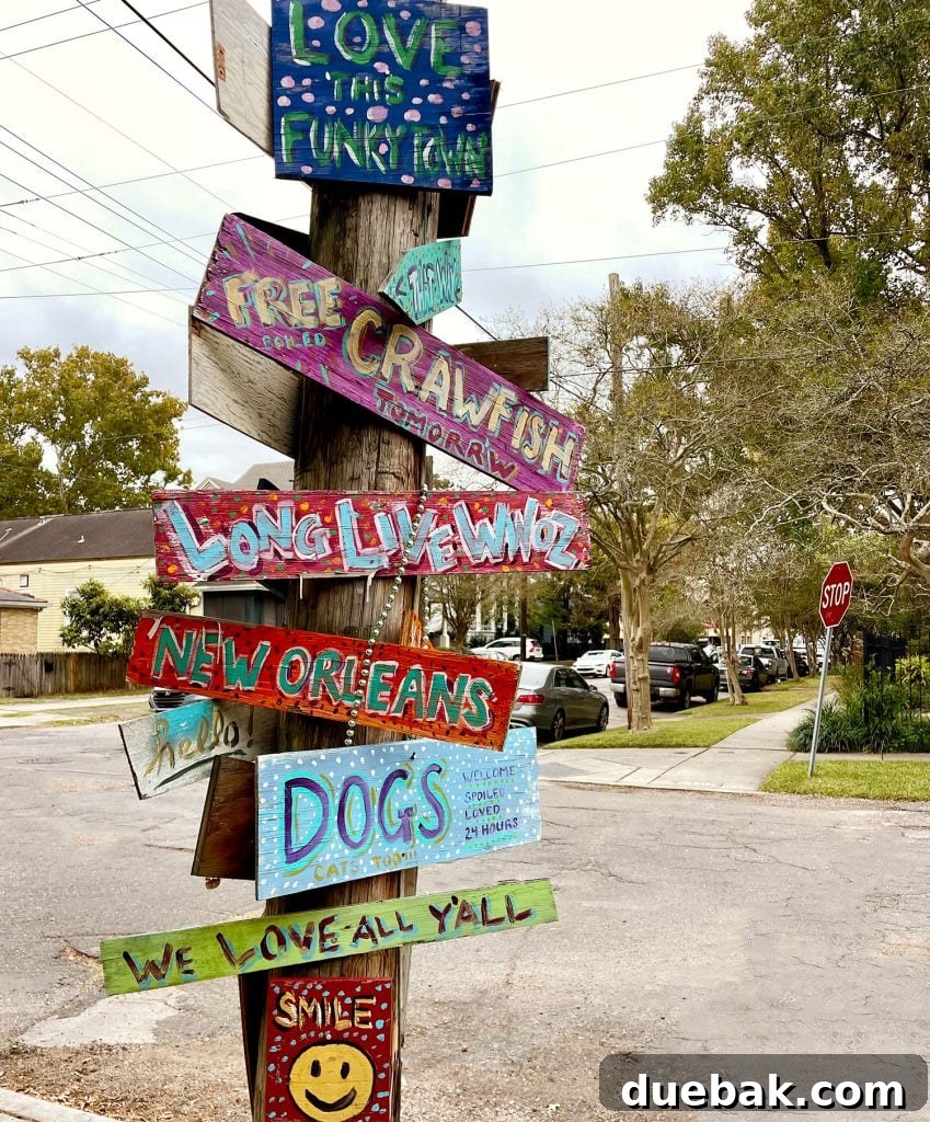 Colorful Painted Signs On Street Post In New Olreans Garden Distrcit