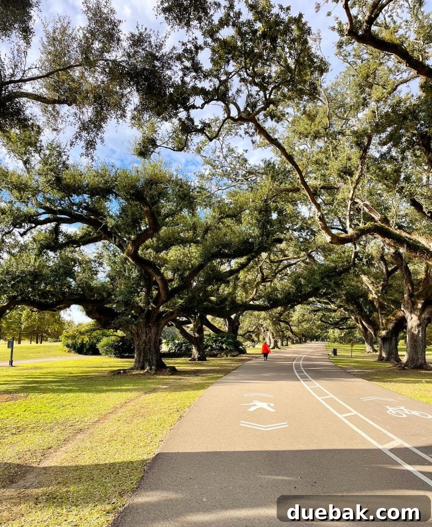 Paved Bike Walking Path In Audubon Park New Orleans