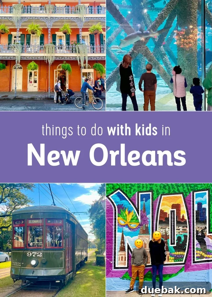 Things to Do In New Orleans With Kids Collage