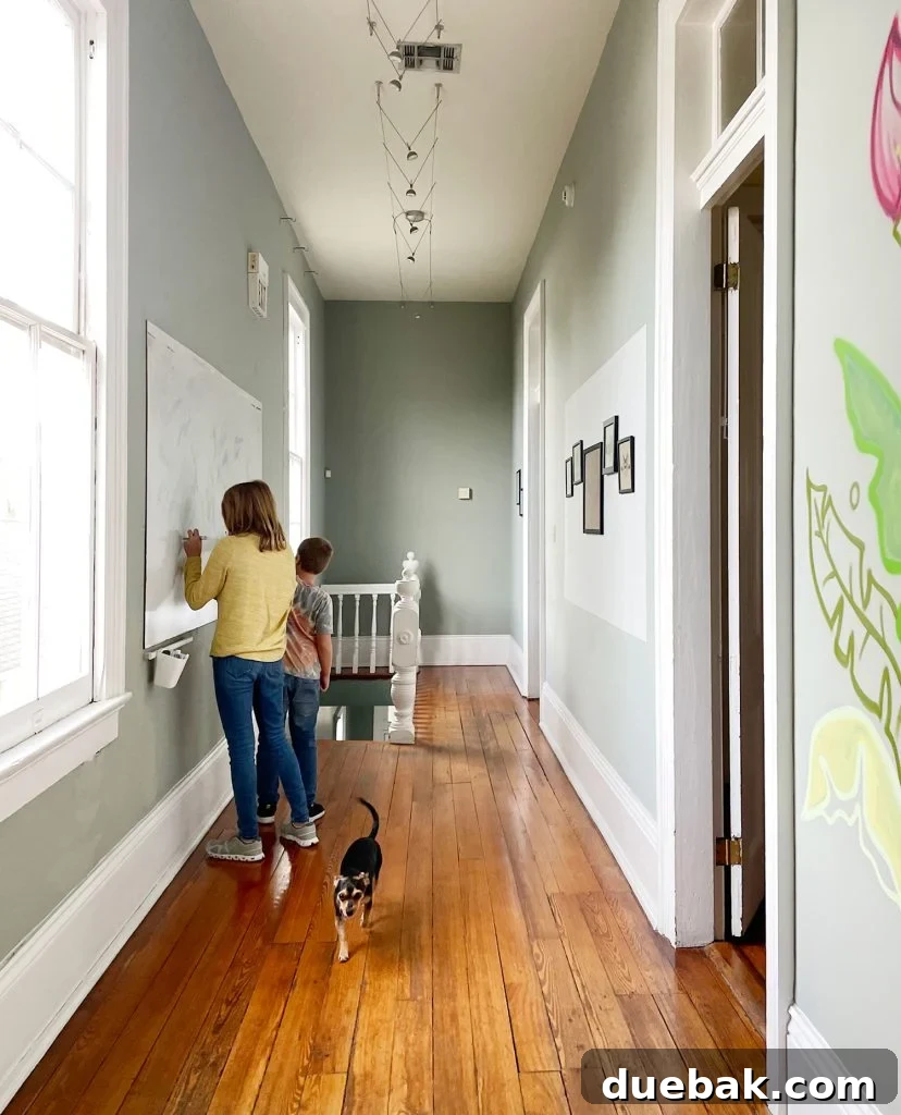 Dog-friendly Airbnb In New Orleans Magazine Street With Large Whiteboard