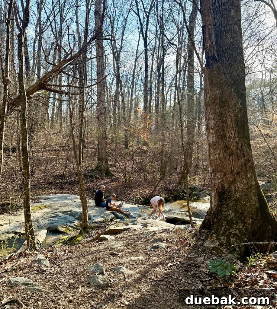 A Weekend Getaway in Serenbe, Georgia: What to See and Do 6 Family Playing In Creek In Serenbe Georgia